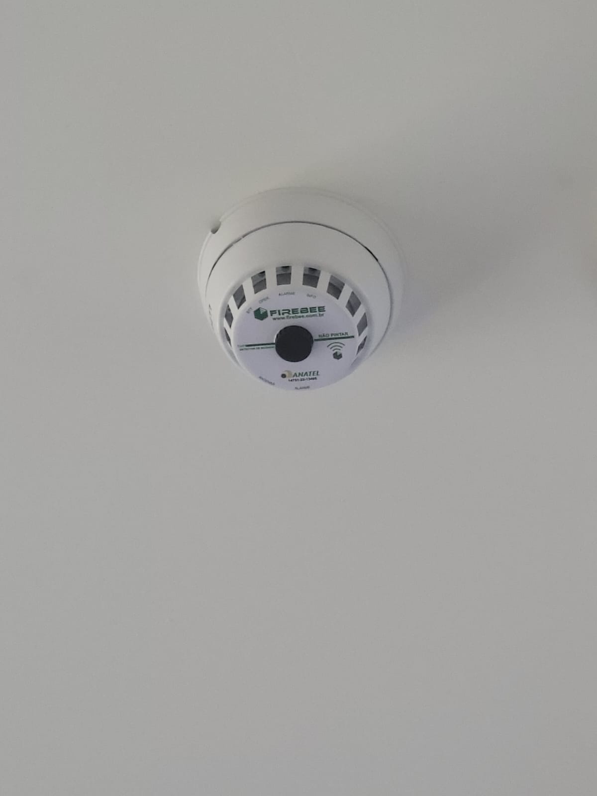 Imagem do WhatsApp de 2025-05-28 à(s) 08.32.35_320201bc.jpg