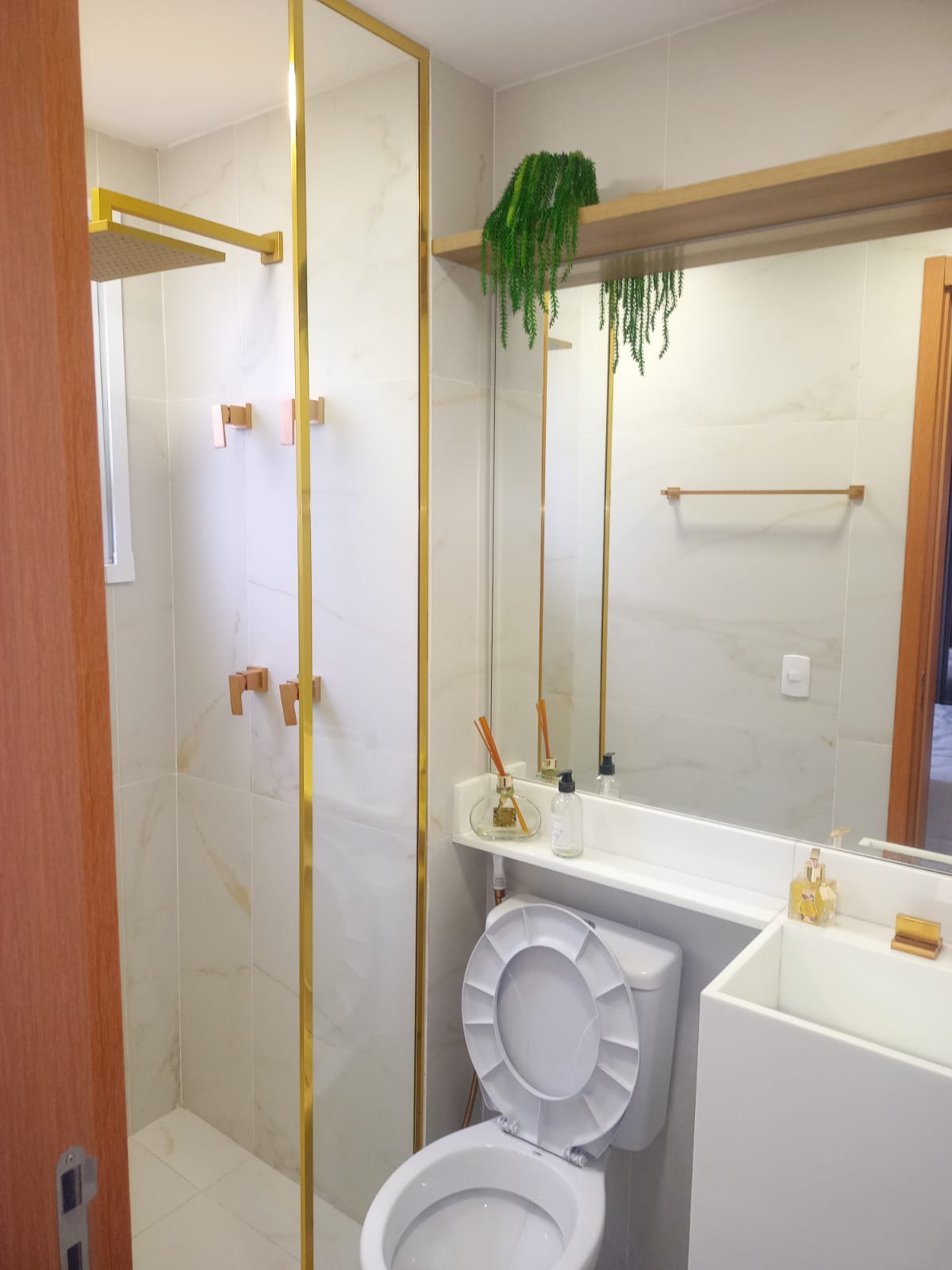 Imagem do WhatsApp de 2025-02-12 à(s) 20.21.16_afeed269.jpg