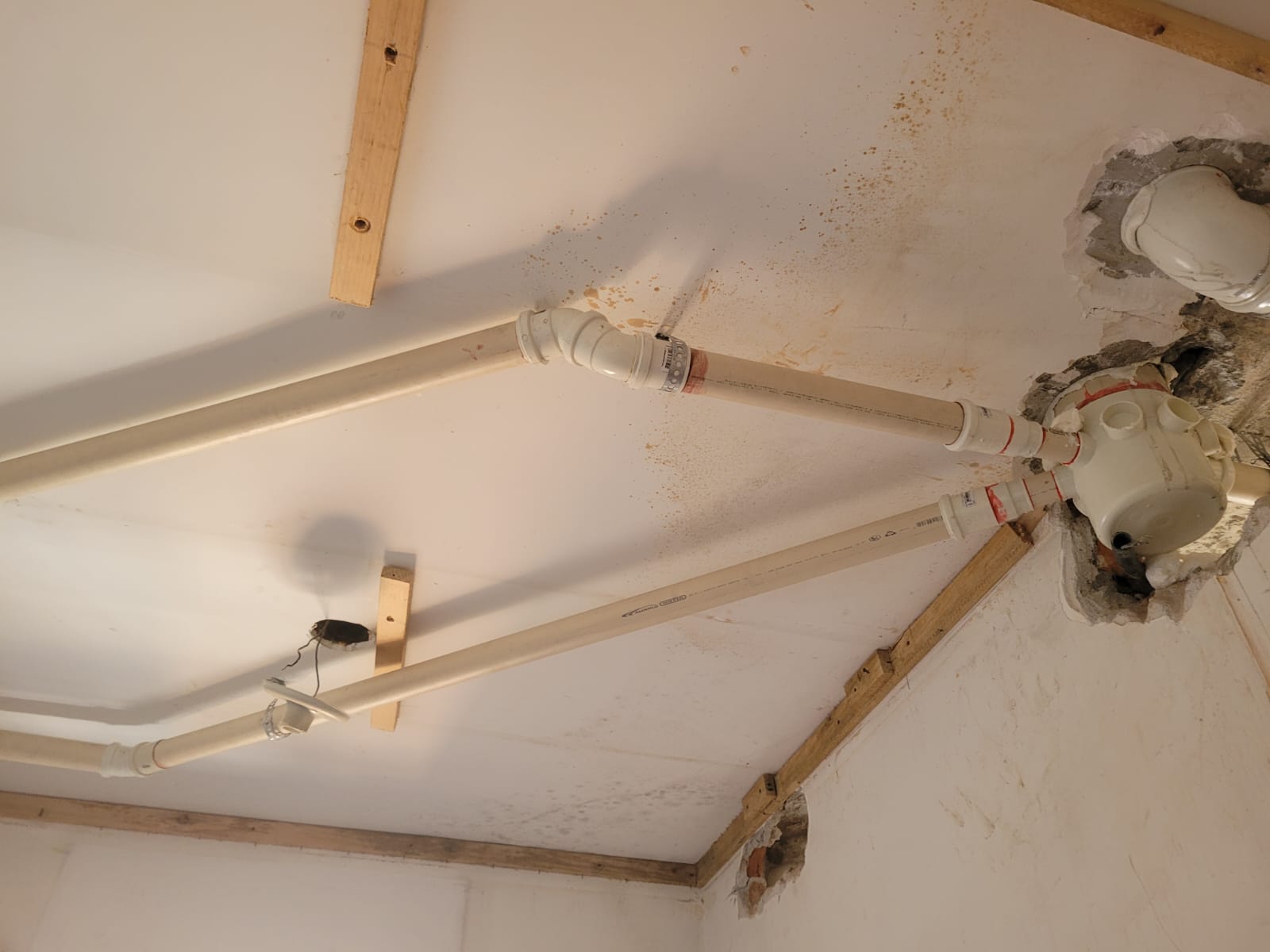 Imagem do WhatsApp de 2025-05-28 à(s) 08.32.37_4ef0f67b.jpg